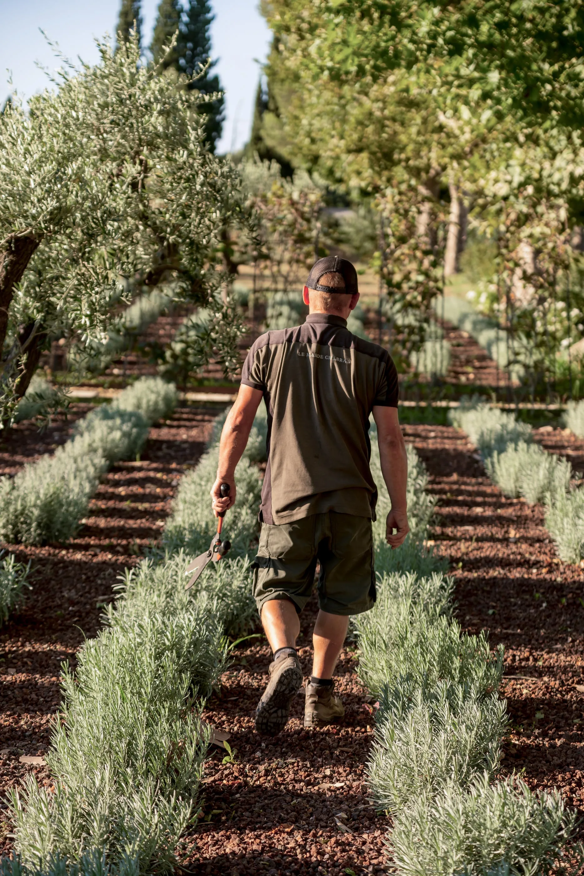 JEAN-PIERRE, Gardener